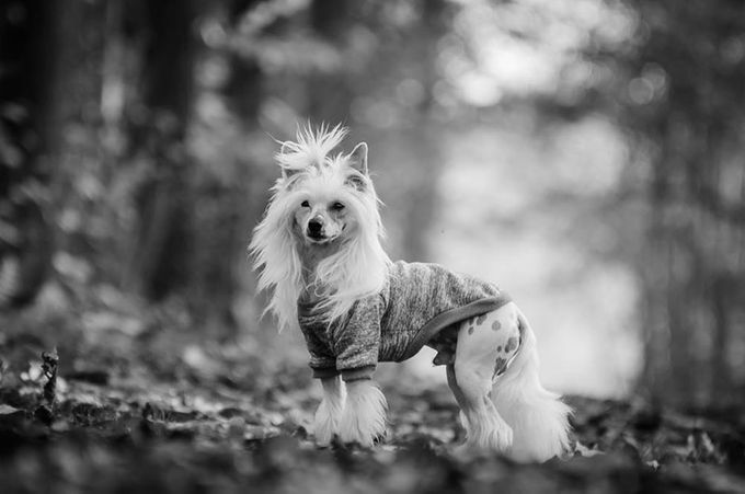 foto genomen door  Gerda Dezitter