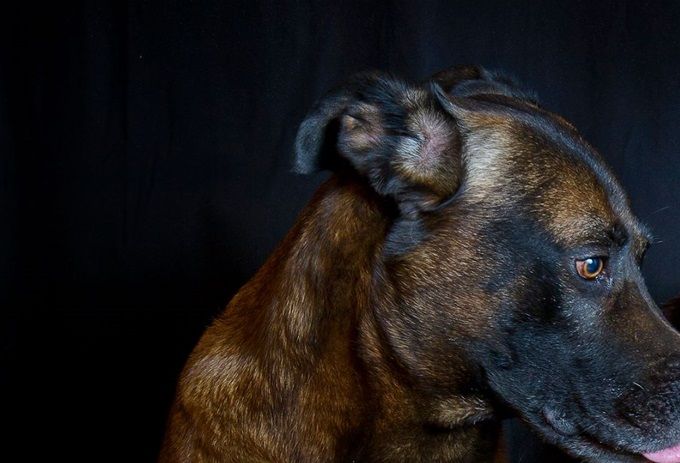 rechts onze mona , ons sterretje